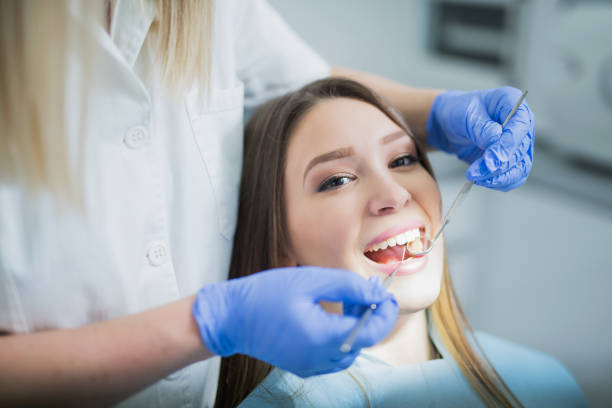  Park Ridge, IL Holistic Dental Services Pros